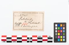 Etikett zu Bronzebrillenfibel (NHMW-PRAE-025415)